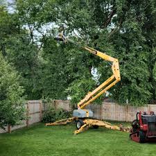 Best Firewood Processing and Delivery  in Forest Lake, IL