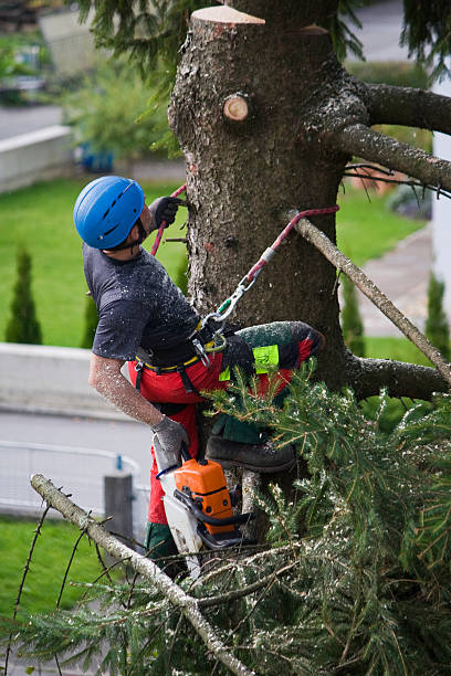 Mulching Services in Forest Lake, IL